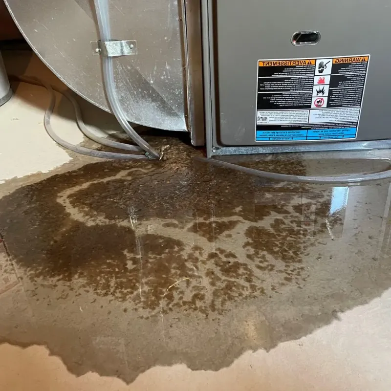 Pipe Burst and Leak Restoration in Offutt Air Force Base, NE