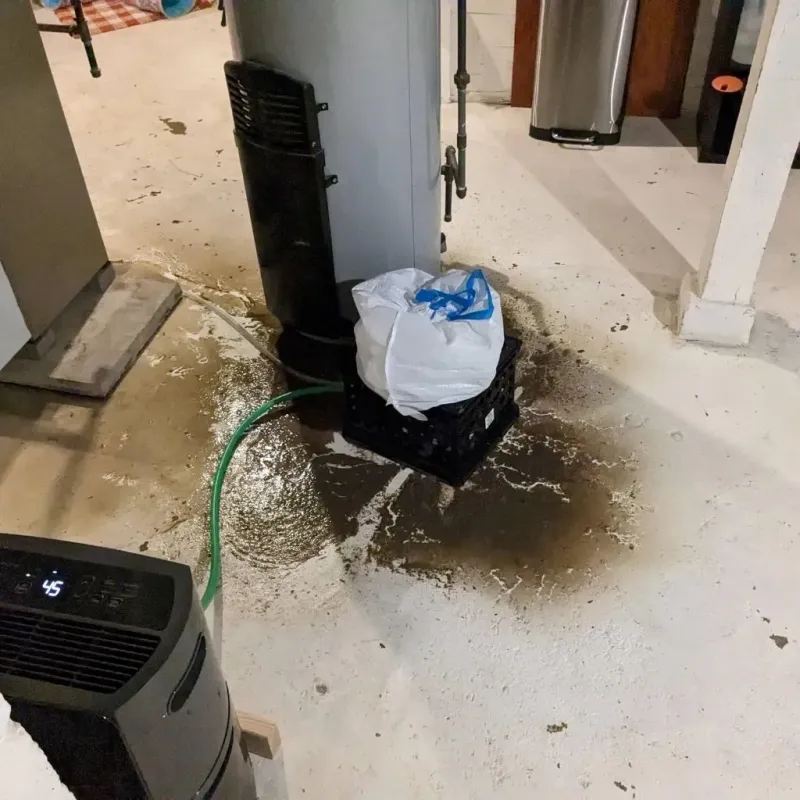 Sewage Backup Cleanup Service in Offutt Air Force Base, NE